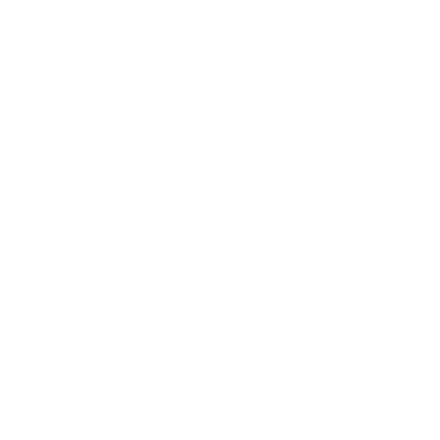 LeiCase_logo_weiß