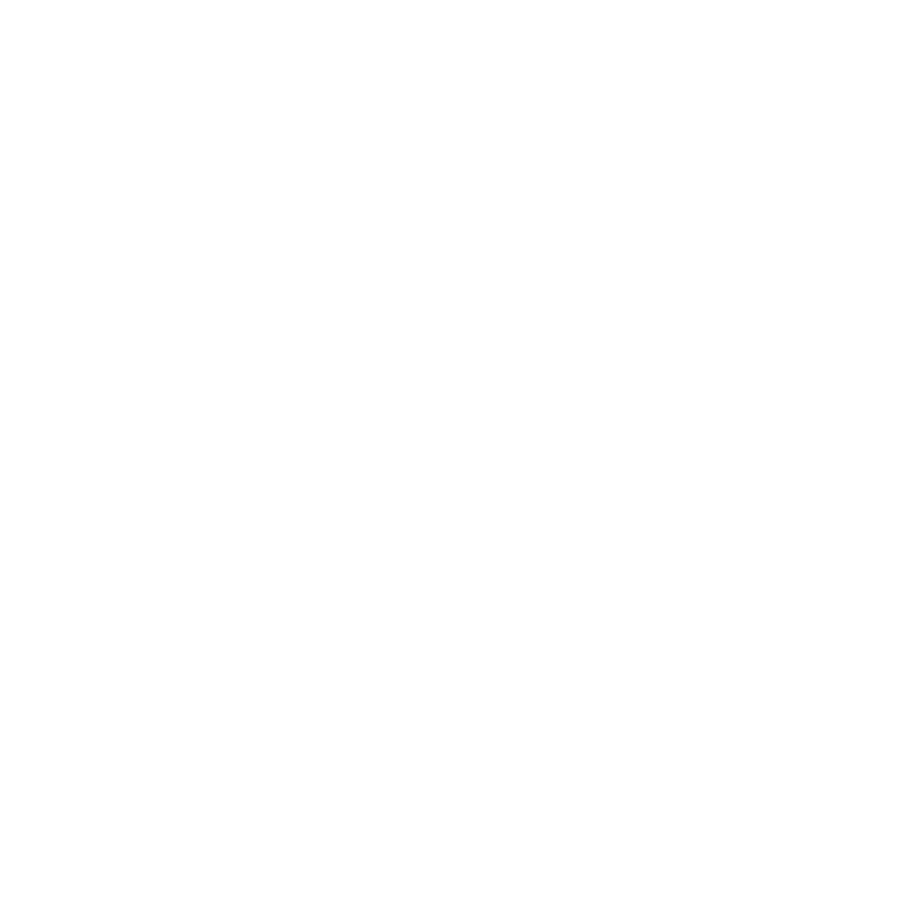 LeiSupply_LOGO_weiß