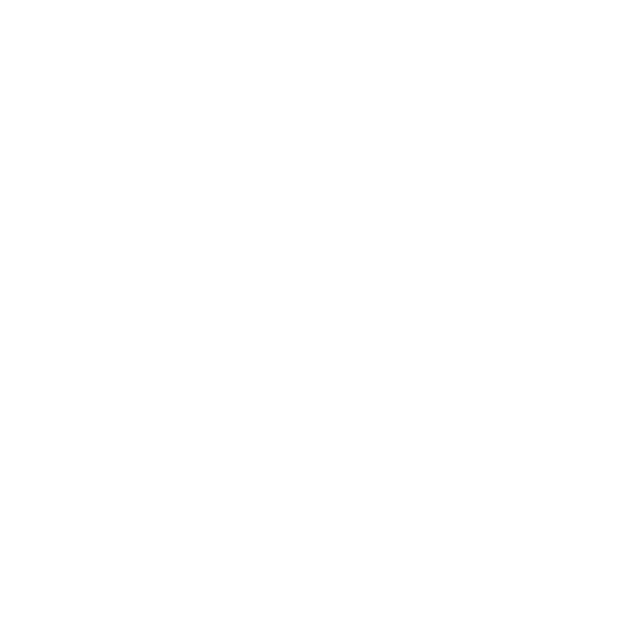 SchwabenCamper_Icon_Weiß