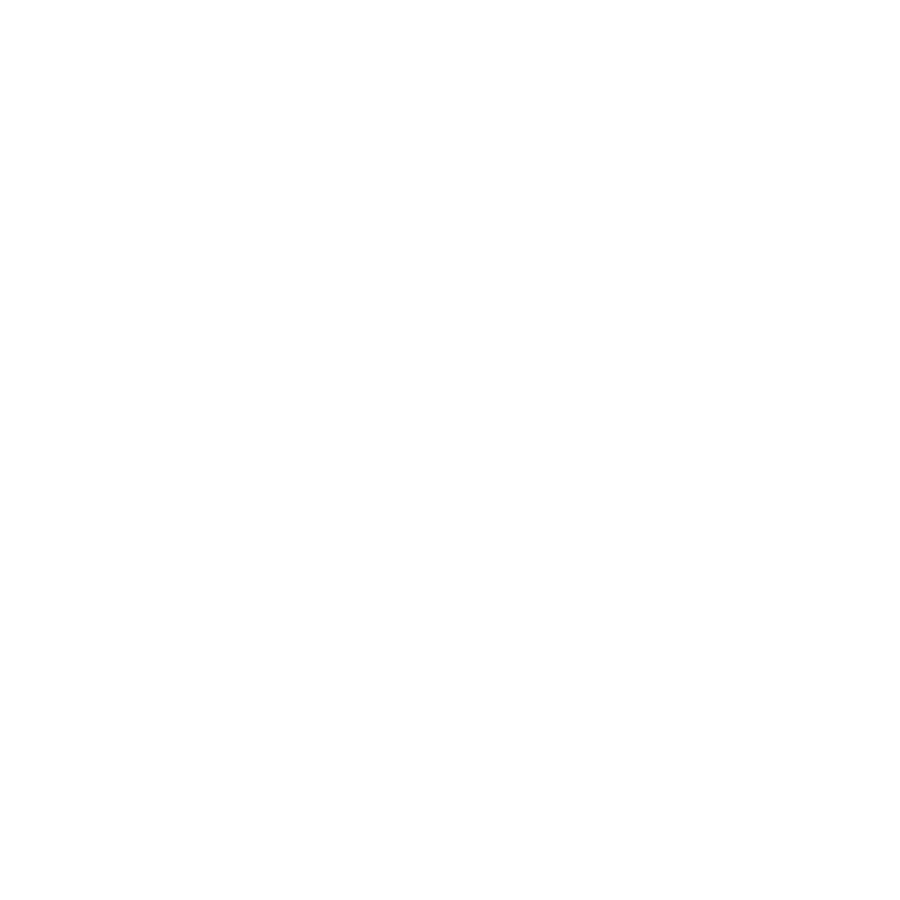 SchwabenCamper_Logo_weiß